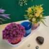 Multipurpose Container Set with Tray